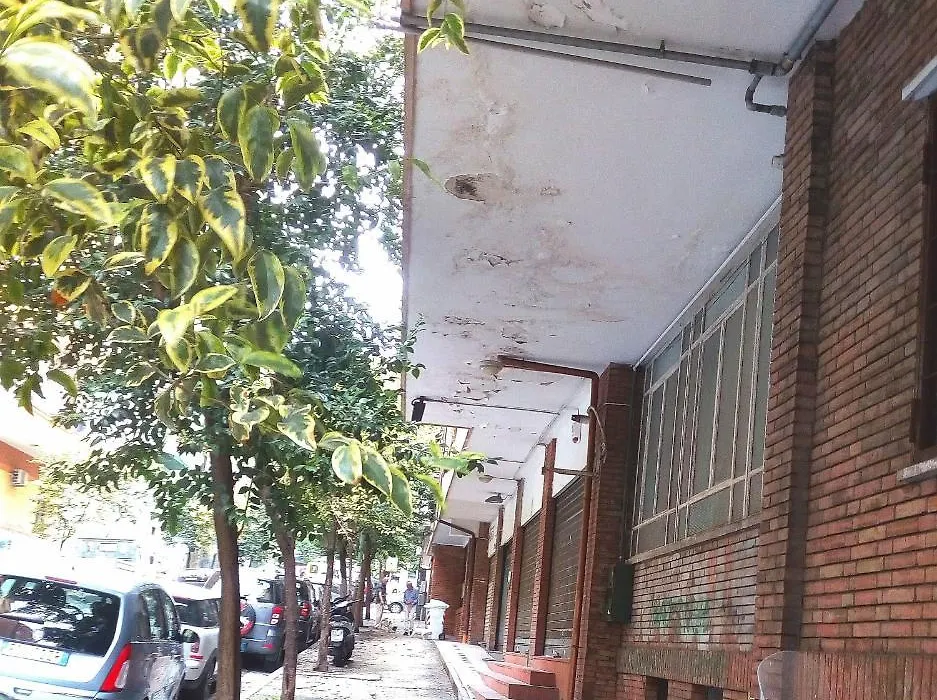 Cicicoco-1