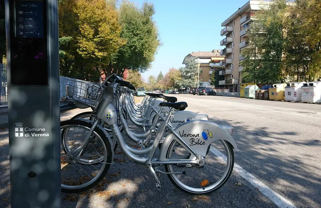 Lamoka Verona-1