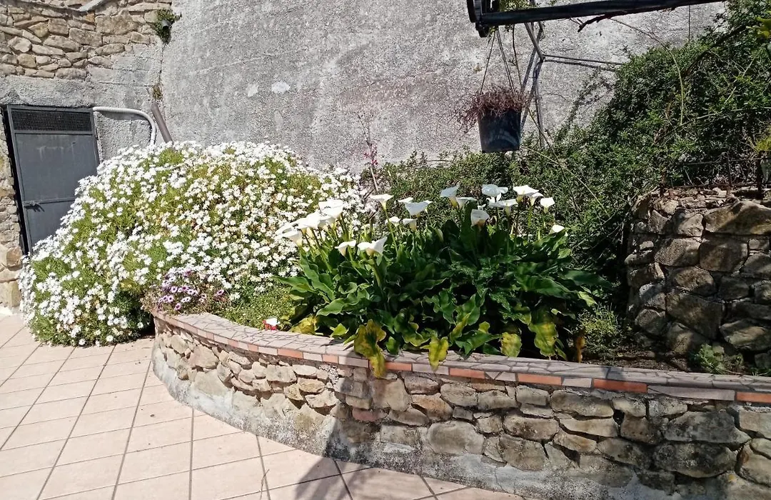 La vecchia fattoria-1