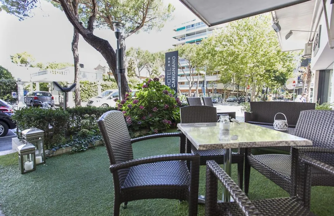 Hotel Carignano-1