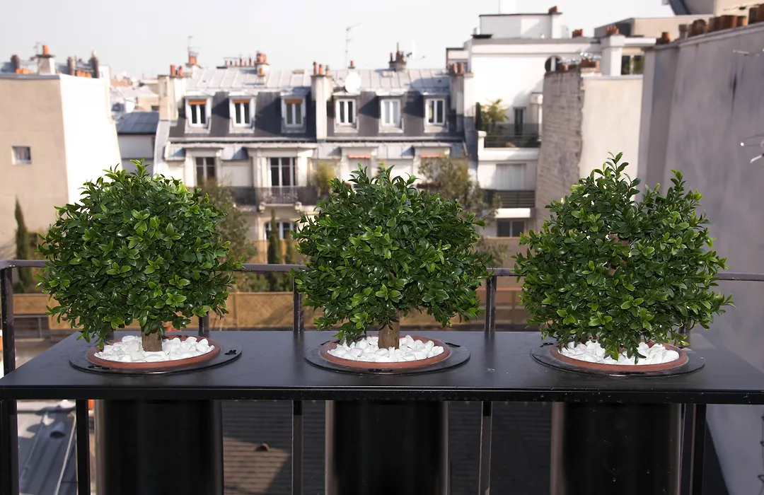 Hôtel Zélie-1