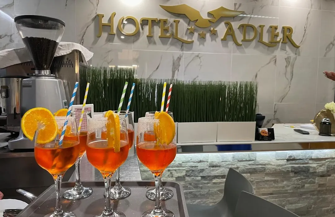 Hotel Adler-1
