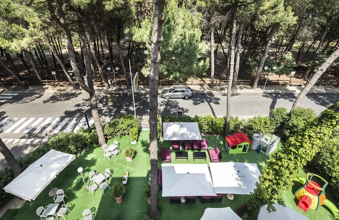 Park Hotel Pineta-1