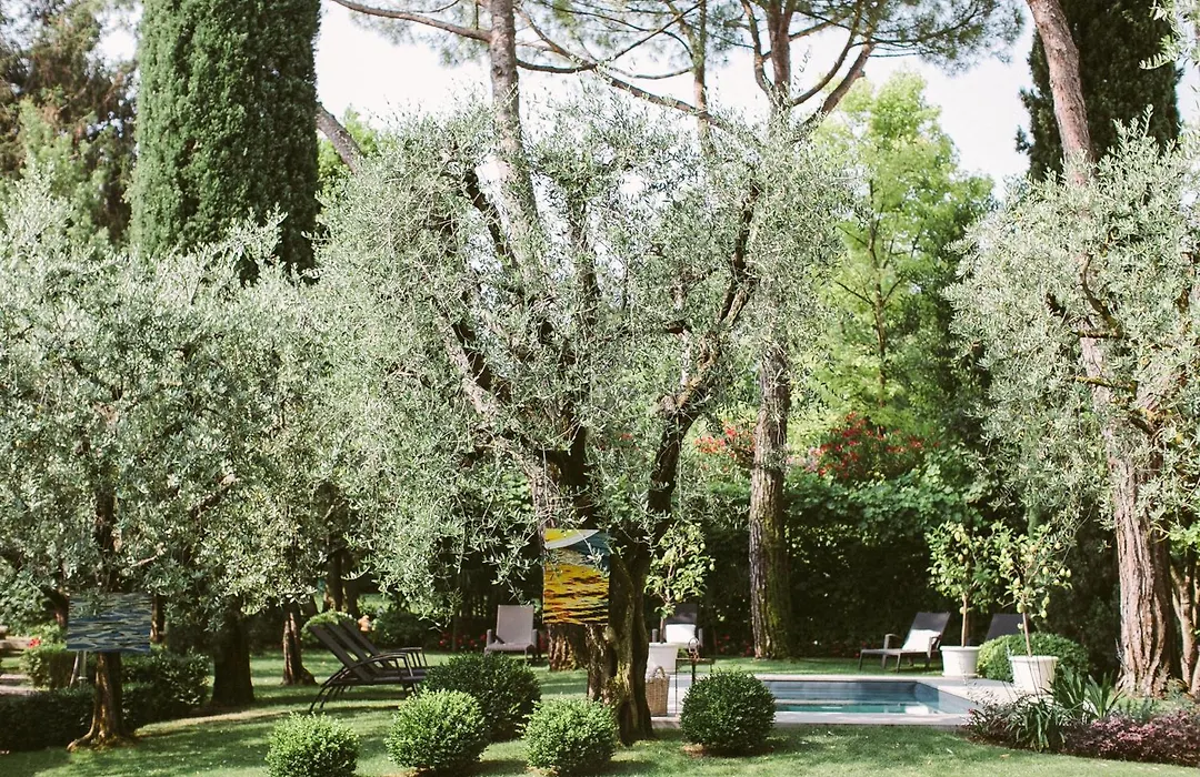 Piccola Vela-1