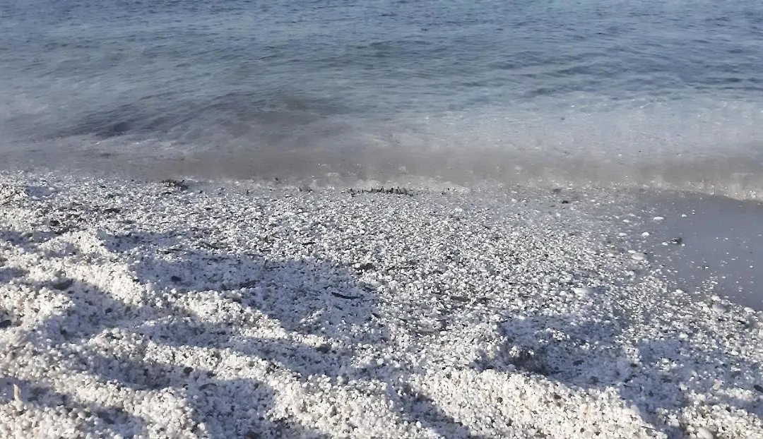 Stintino - Cala Lupo-1