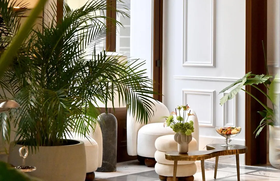 The Dolli At Acropolis, A Hotel To Live-1