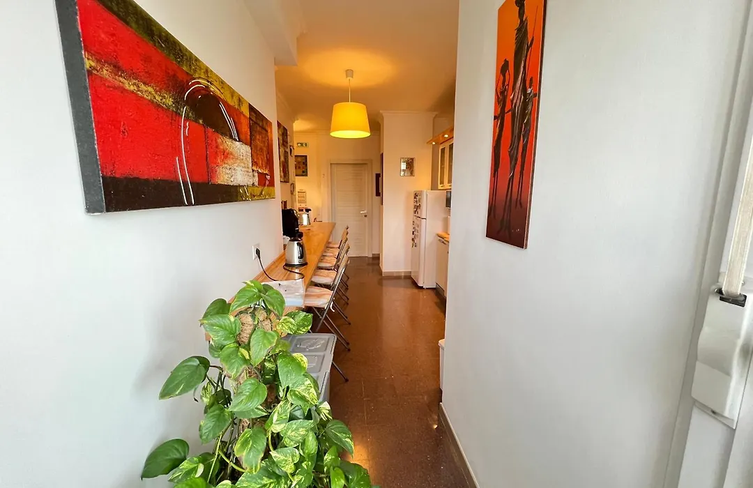 B&B Birba-1