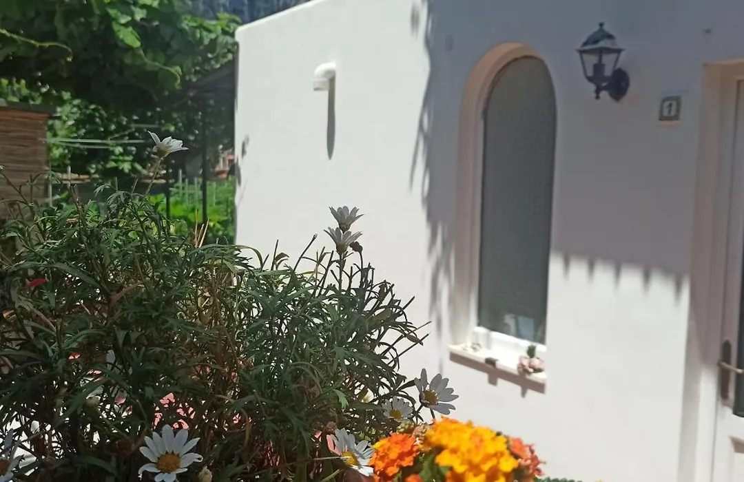 Villa dei fiori B&B-1