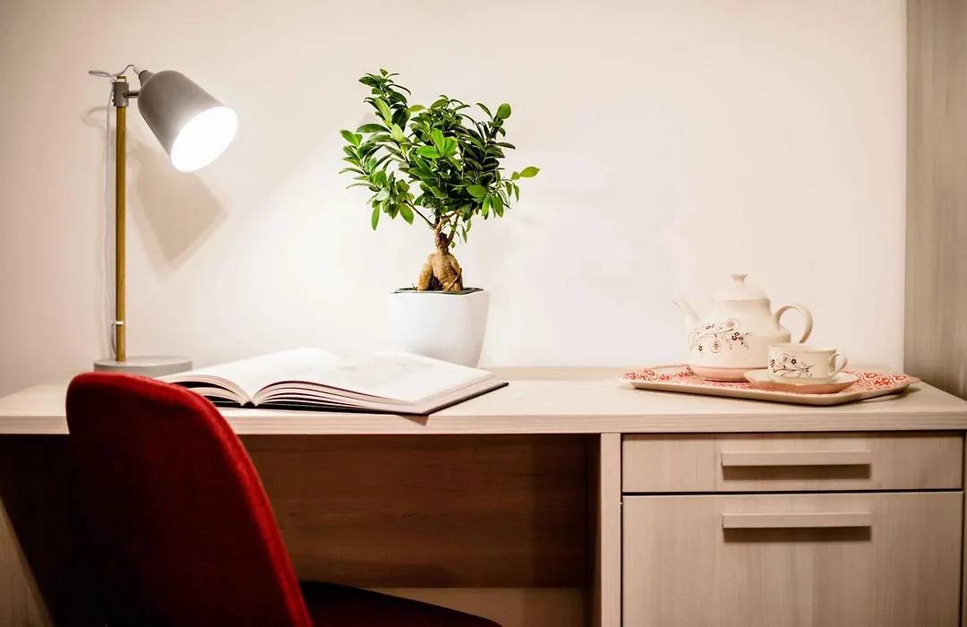 Tetide Home-1