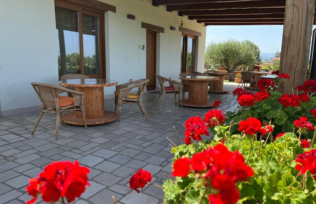 B&B Vigna Di Filippo - Paestum-1