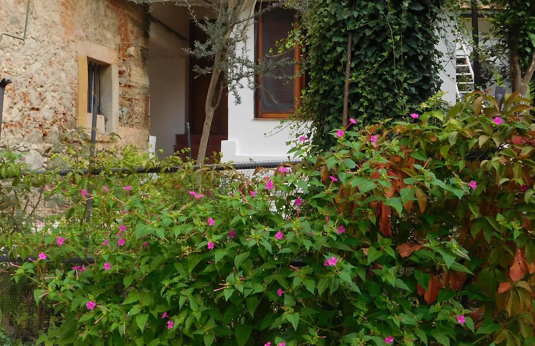 Old Garden-1