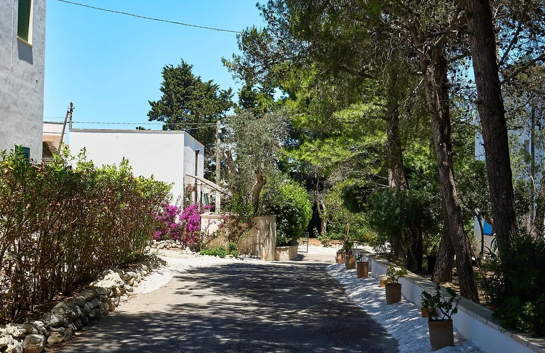 Tenuta Belvedere-1