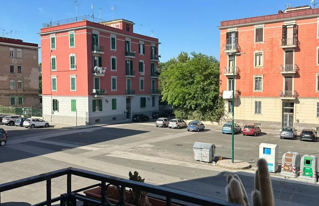 B&B Paura-1