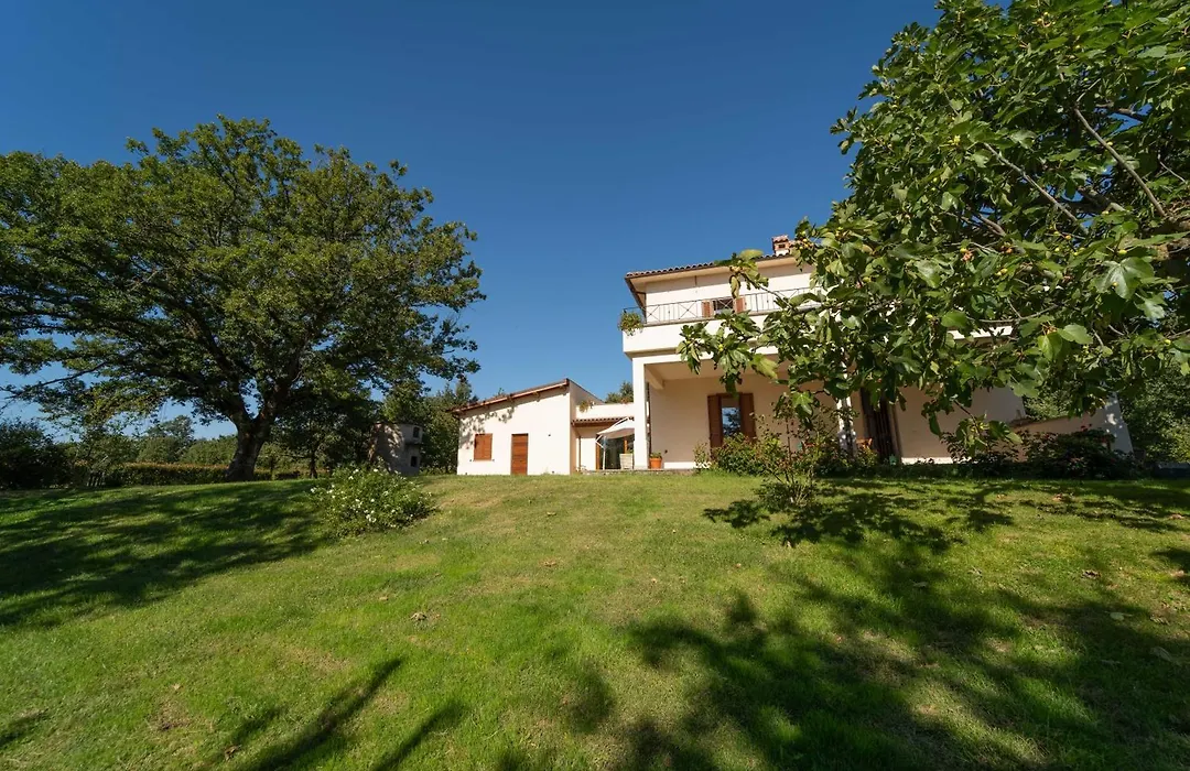 Poggio delle Ginestre-1