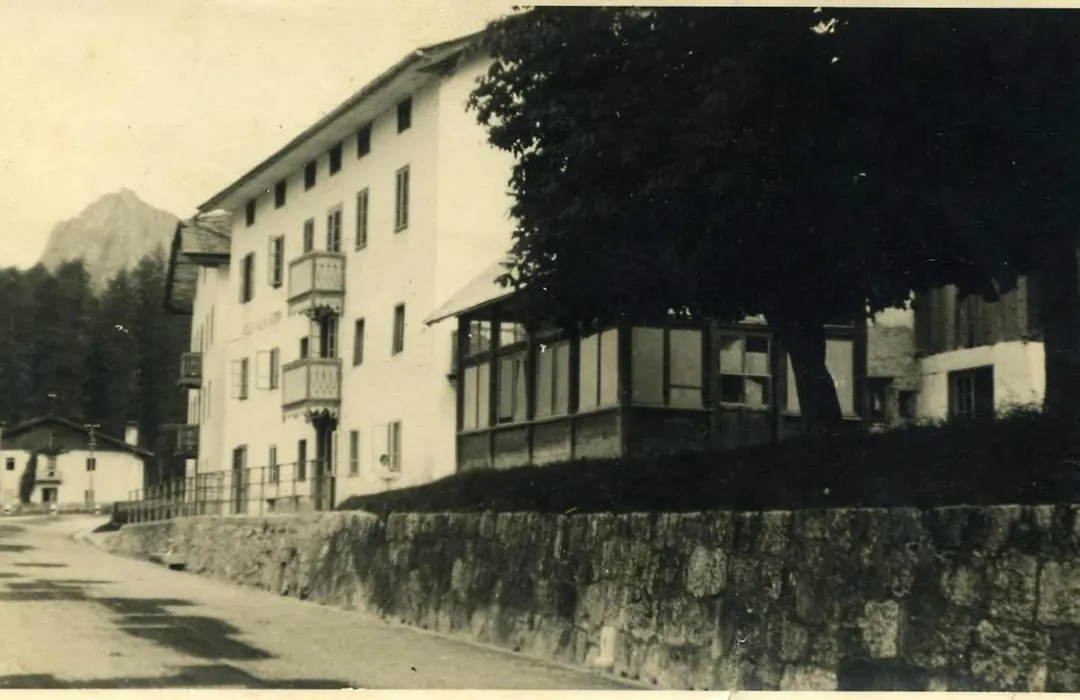 Hotel Des Alpes-1