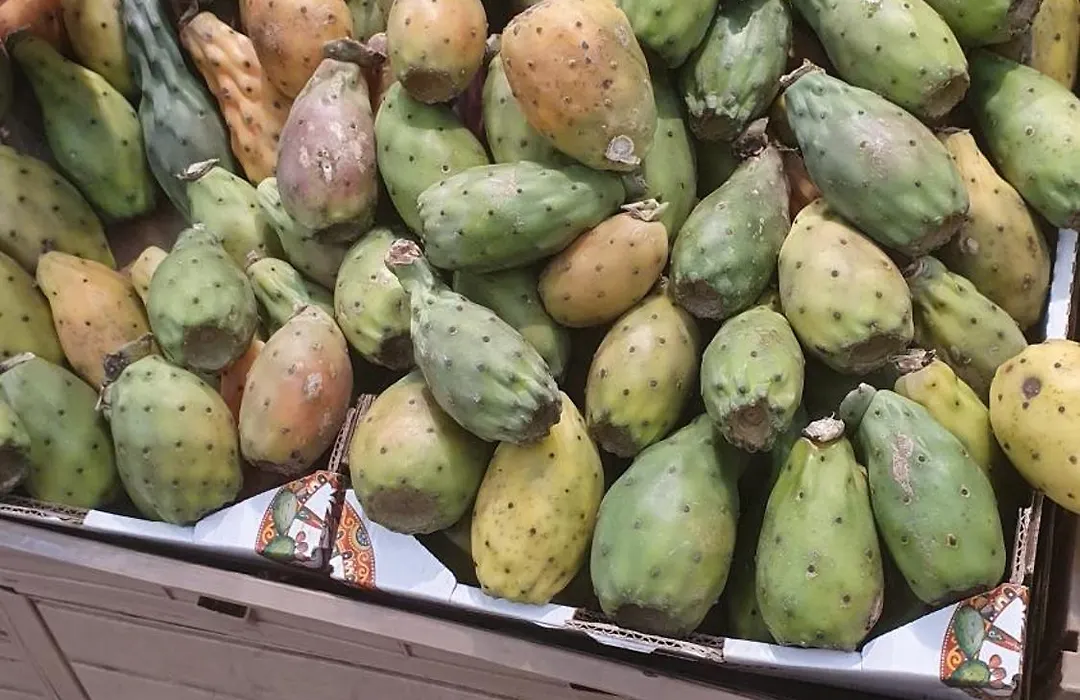 Profumo di Sicilia-1