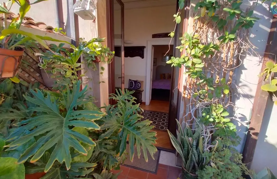 Crociferi B&B-1