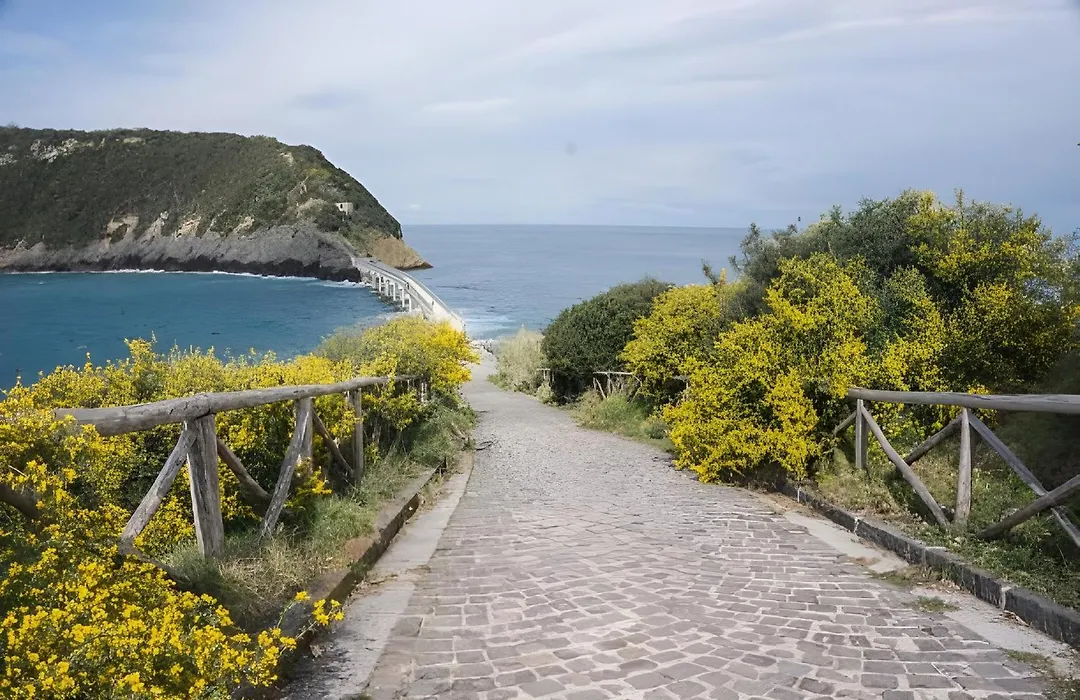Mezza Torre B&B-1