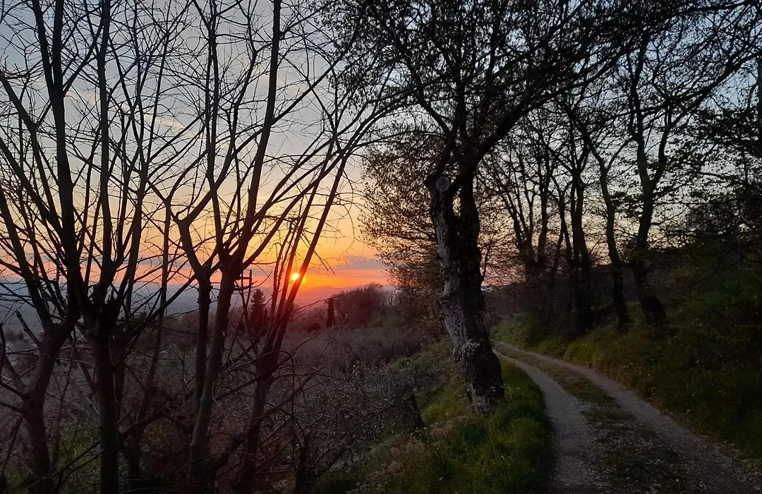 B&B Il Sentiero di Assisi-1