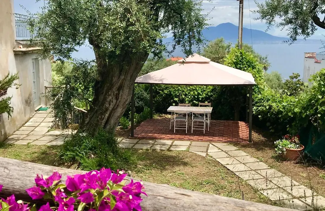 Sorrento Garden-1