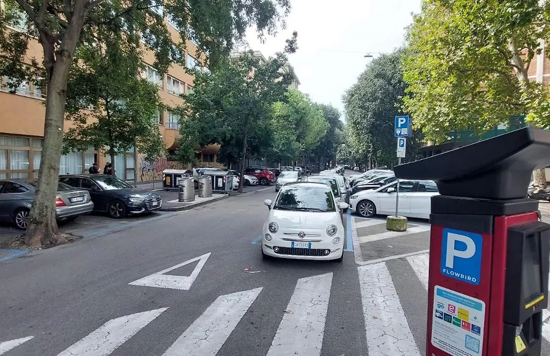 Madame Bologna-1