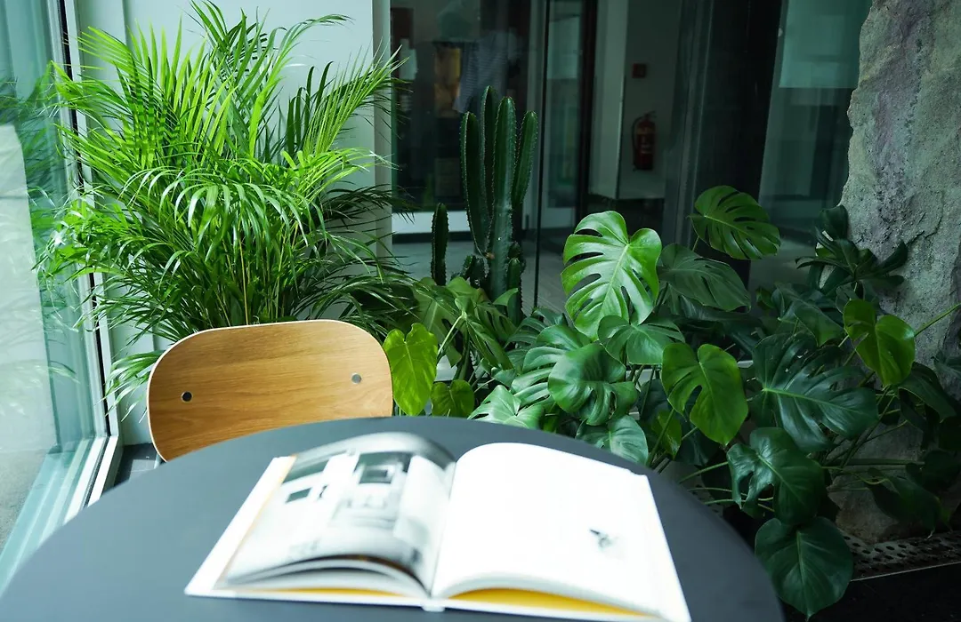 Design & Budget Hotel Wien Schoenbrunn-1