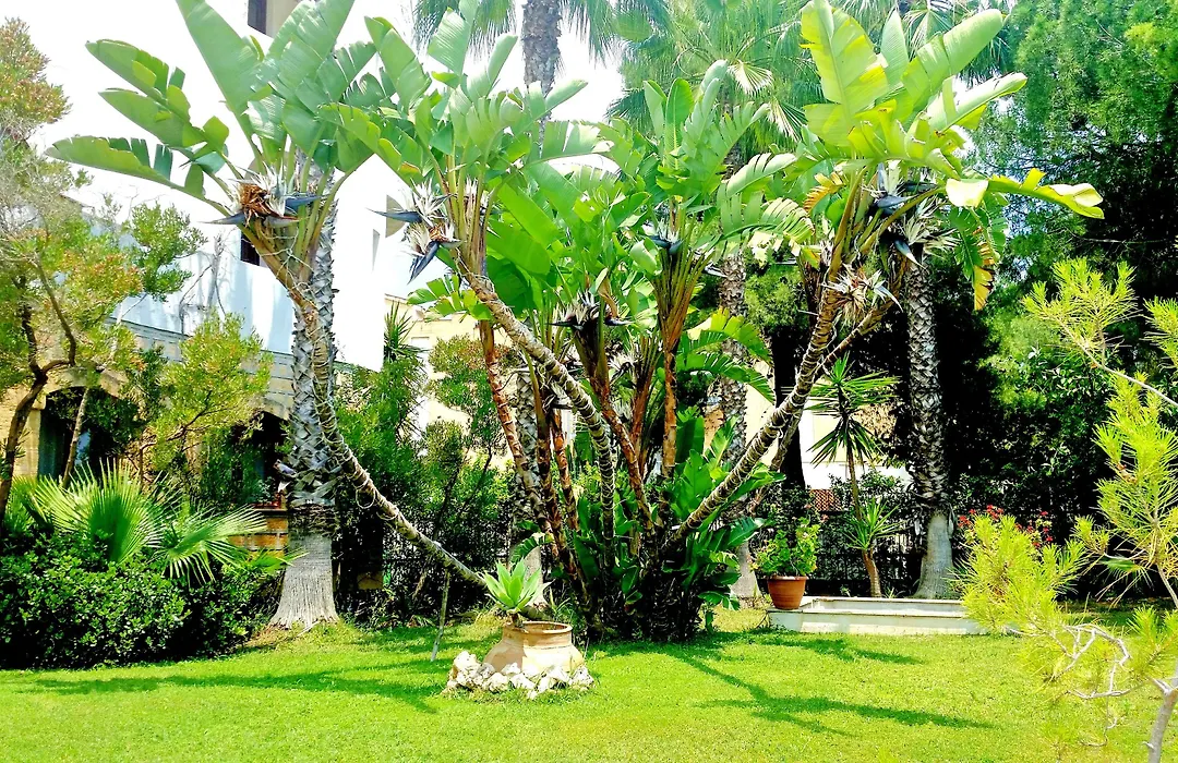 Hotel Akrabello-1