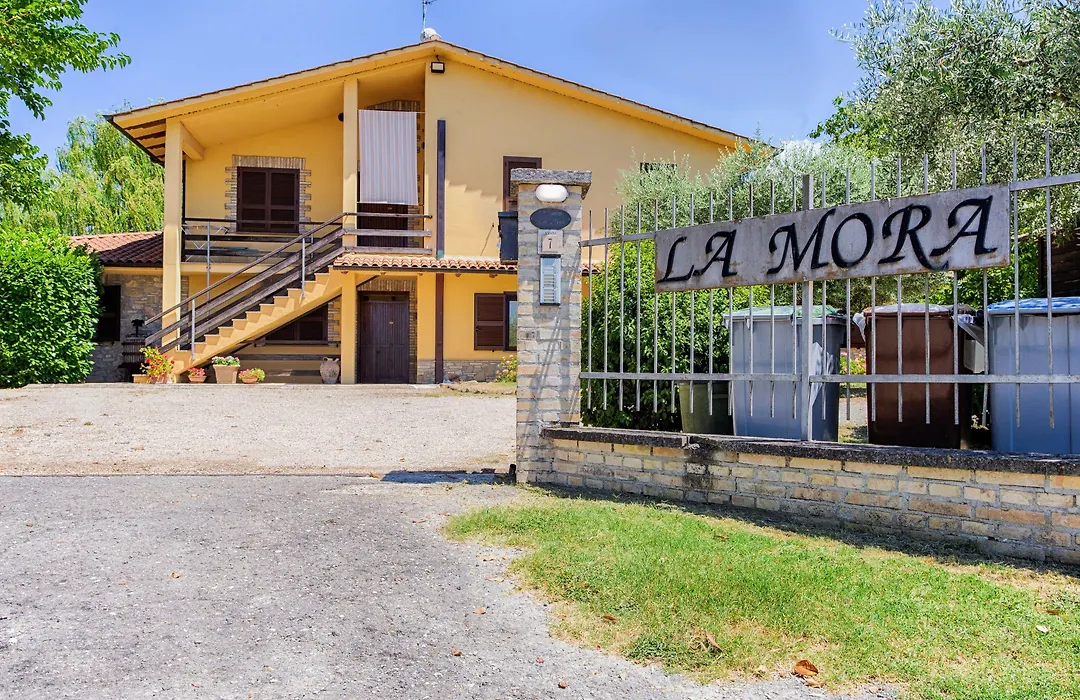 Agriturismo La Mora-1