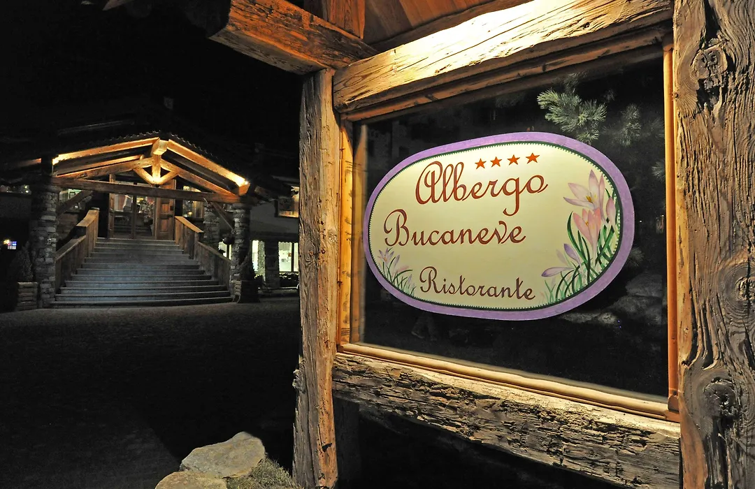 Hotel Bucaneve-1