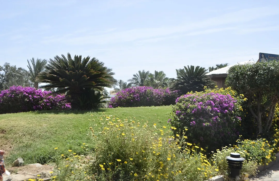 Queen Sharm Aqua Park Hotel-1