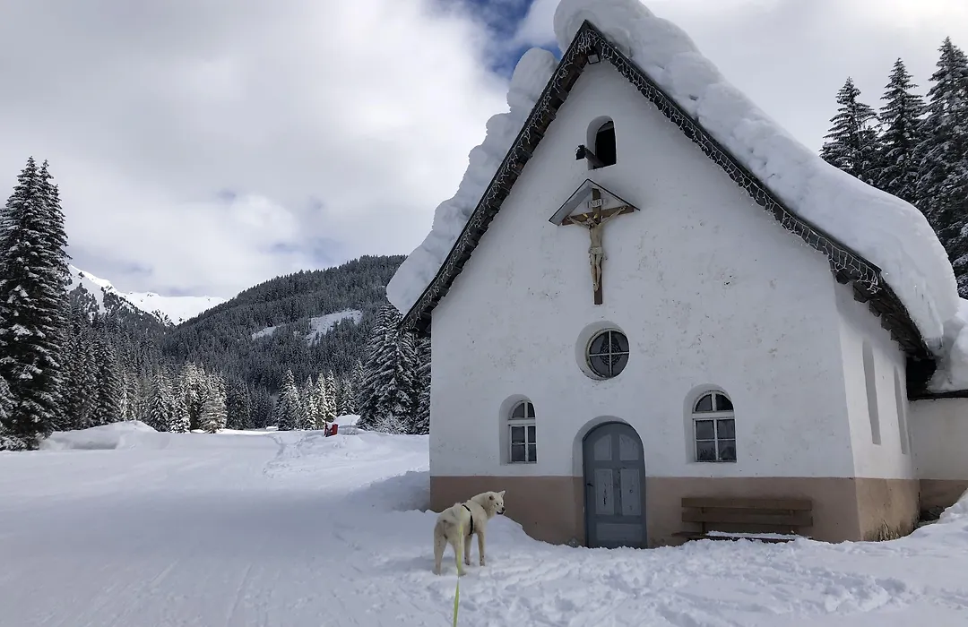 Alpine Touring Hotel-Petfriendly-1