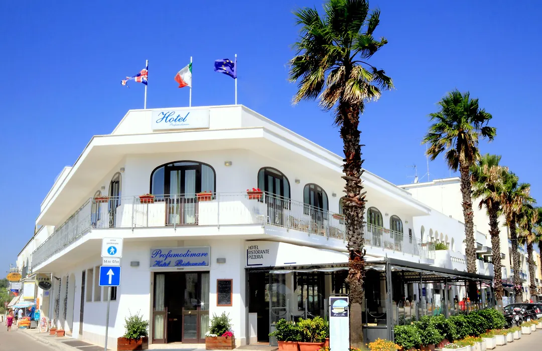 Hotel Profumo Di Mare-1