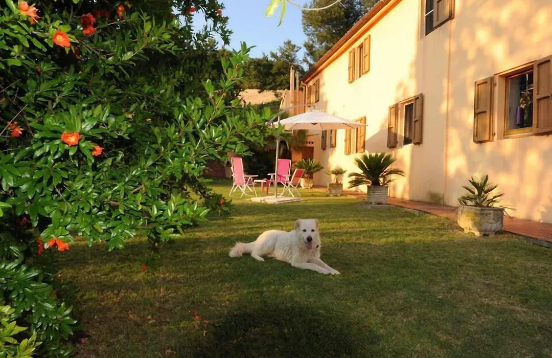 B&B Glicine-1