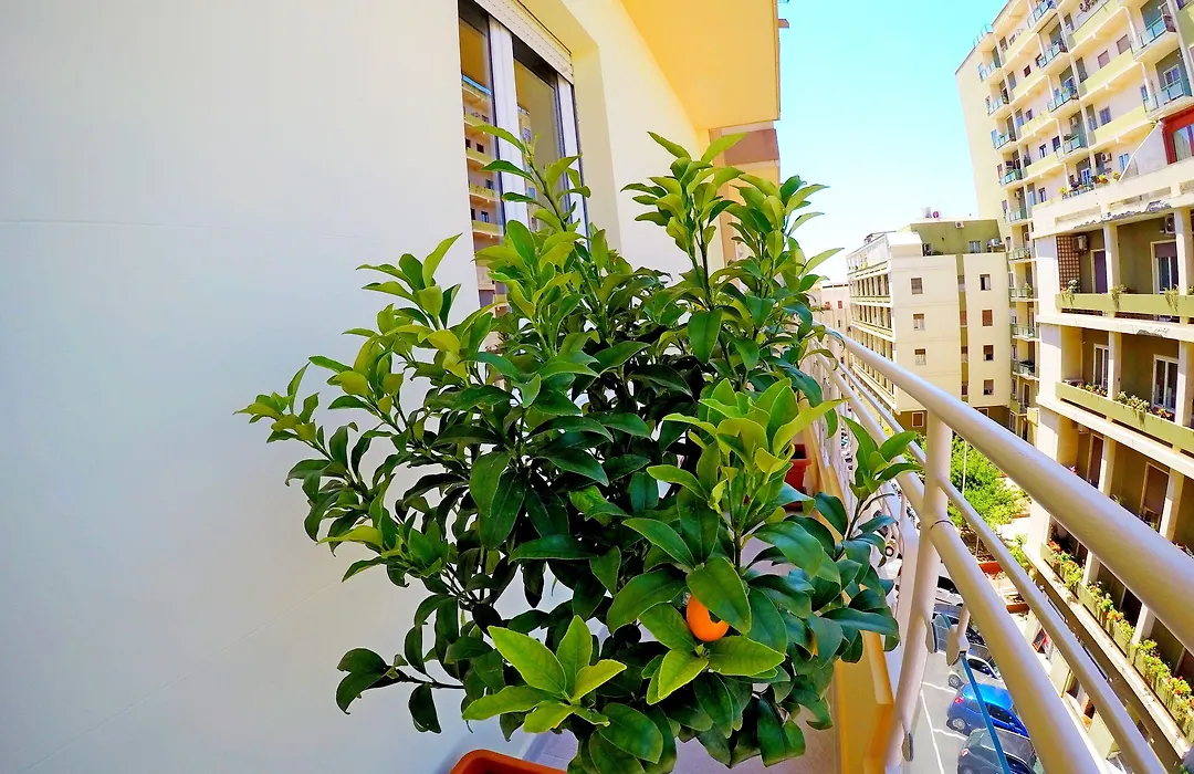 Colibrì Prestige Rooms - Roman Ruins View-1