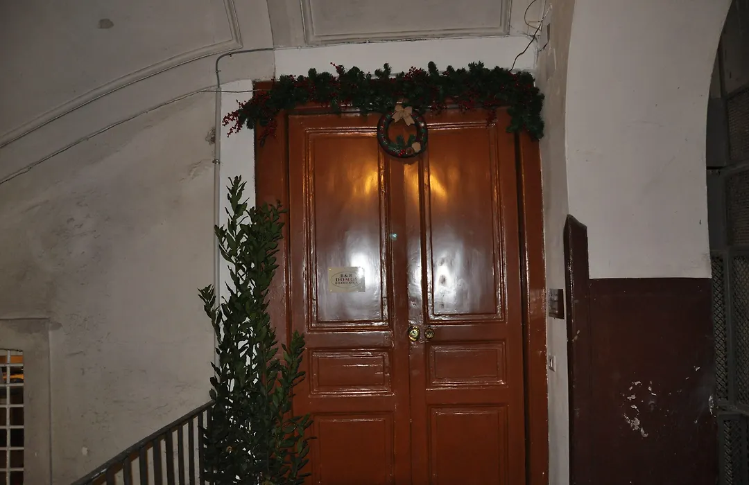 Domus Borbonica-1