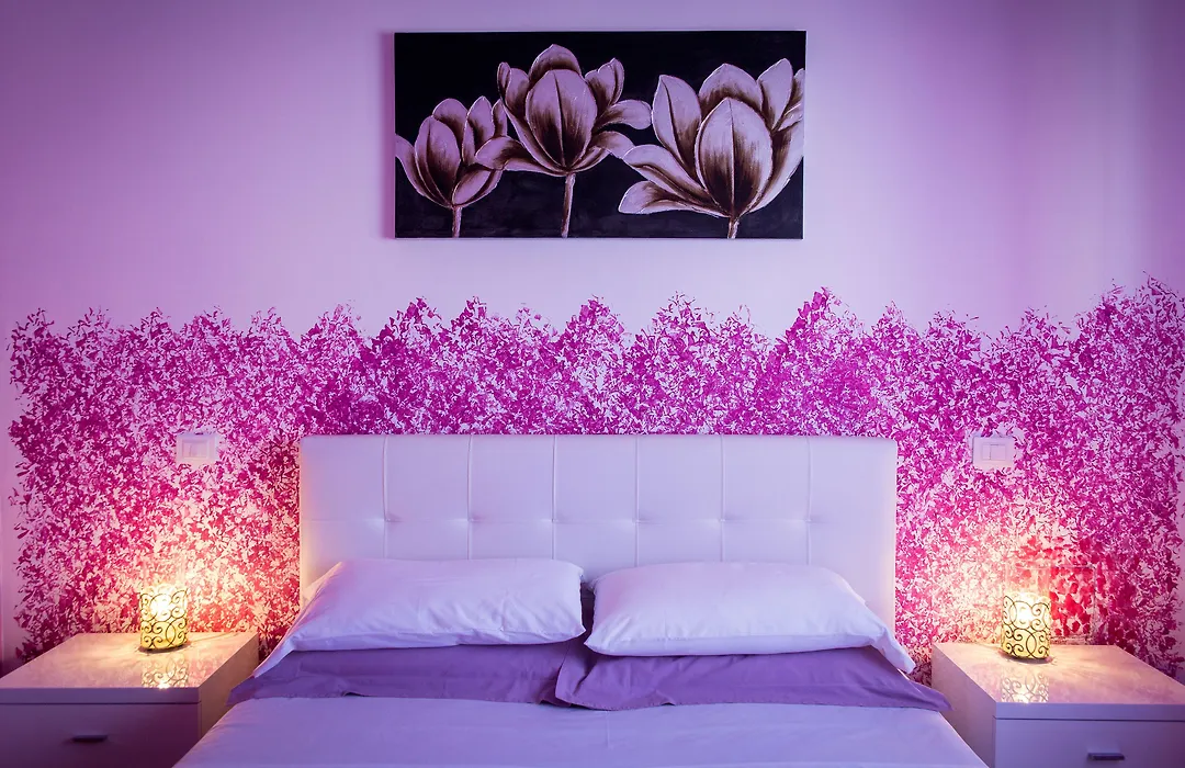 Colors B&B-1