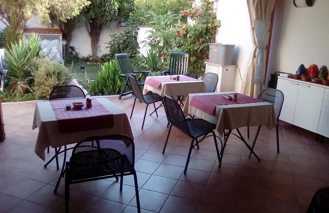 Sigiuma B&B-1