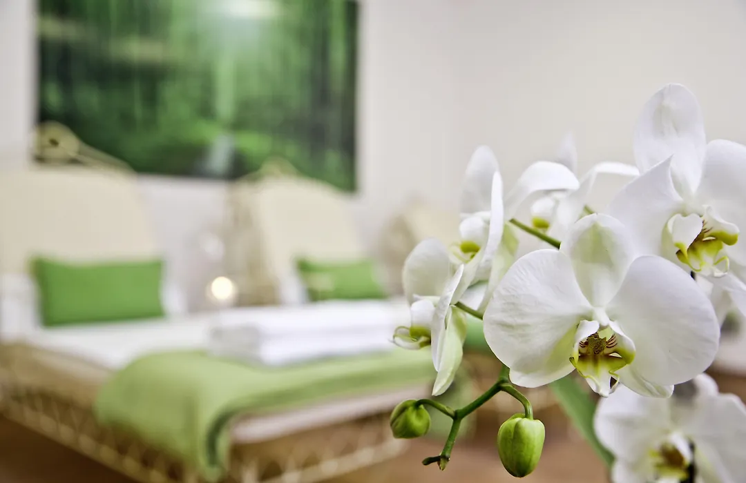 Hotel Freisinger Hof-1