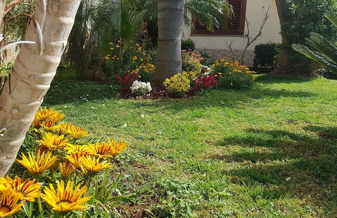 Mariposa B&B-1