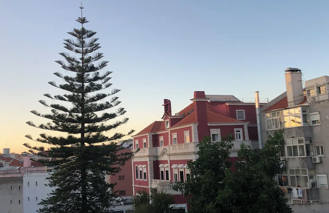 Palácio do Visconde-1