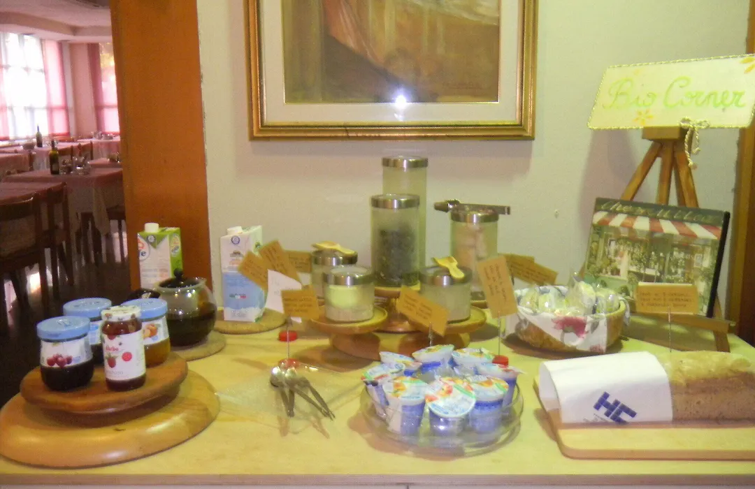 Hotel Carol-1