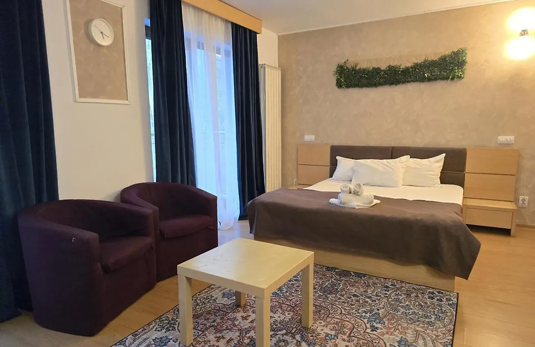 Decebal Residence Apartments-1