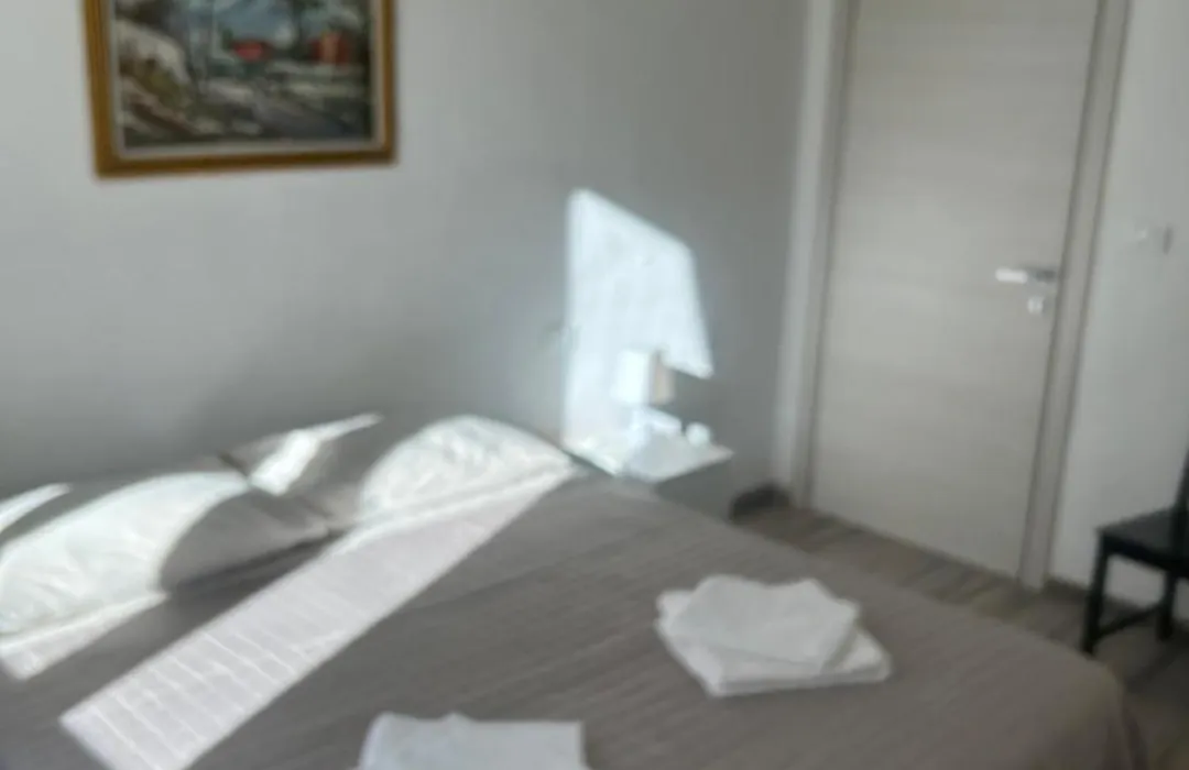 Casa Viorica-1