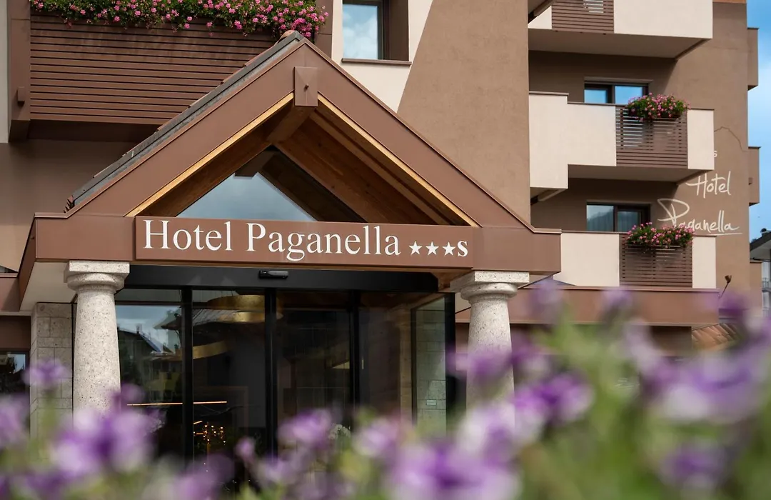Hotel Paganella-1