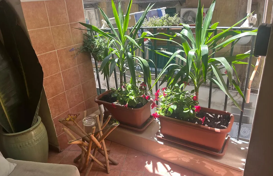 Vicoli di Napoli B&B-1