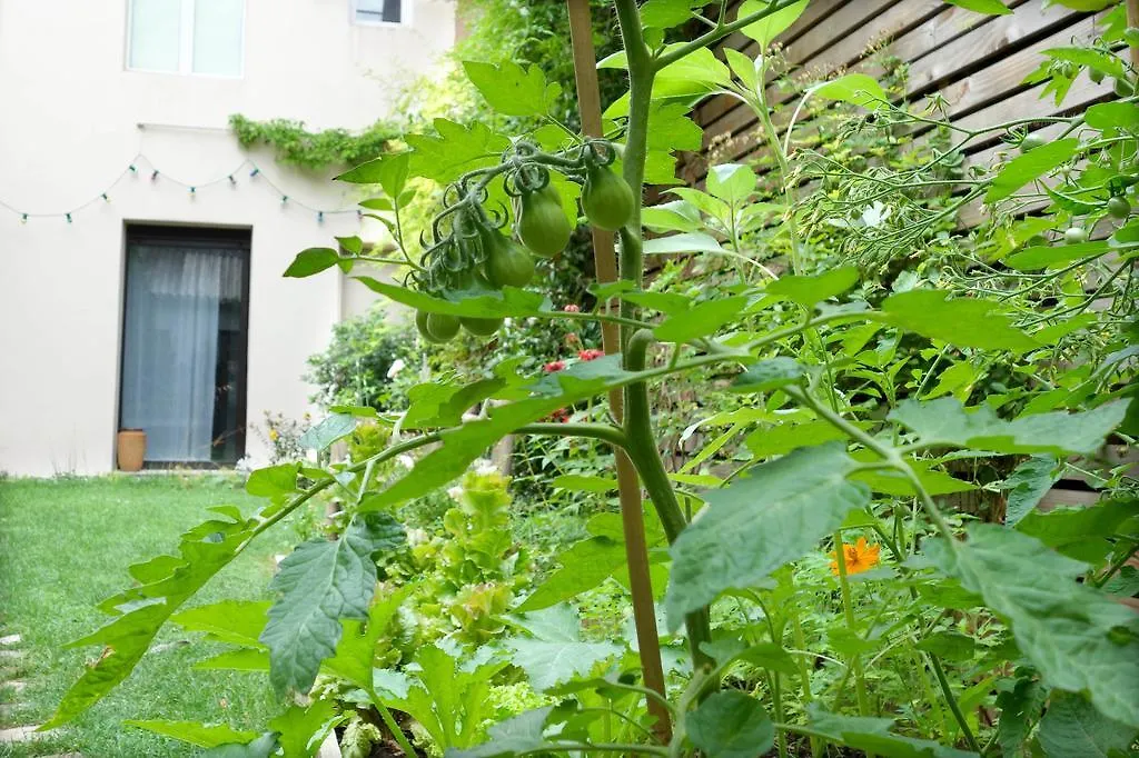 La Campagne à Paris B&B-1