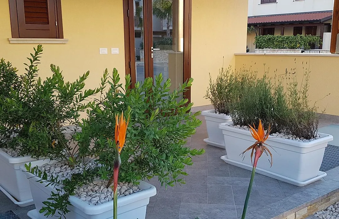 B&B Aloe Comfort Rooms-1