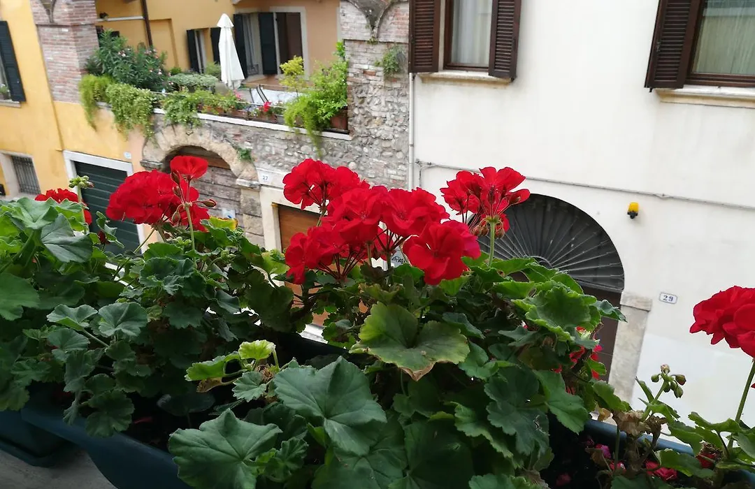 A casa di Luca-1