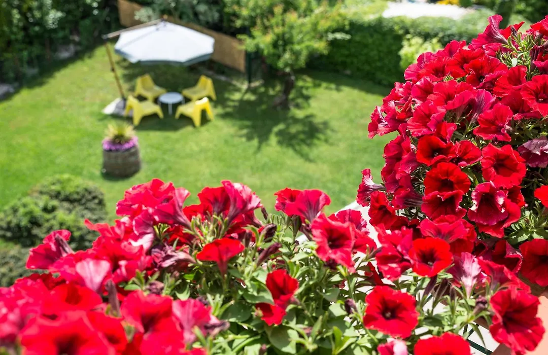 B&B Il Girasole-1