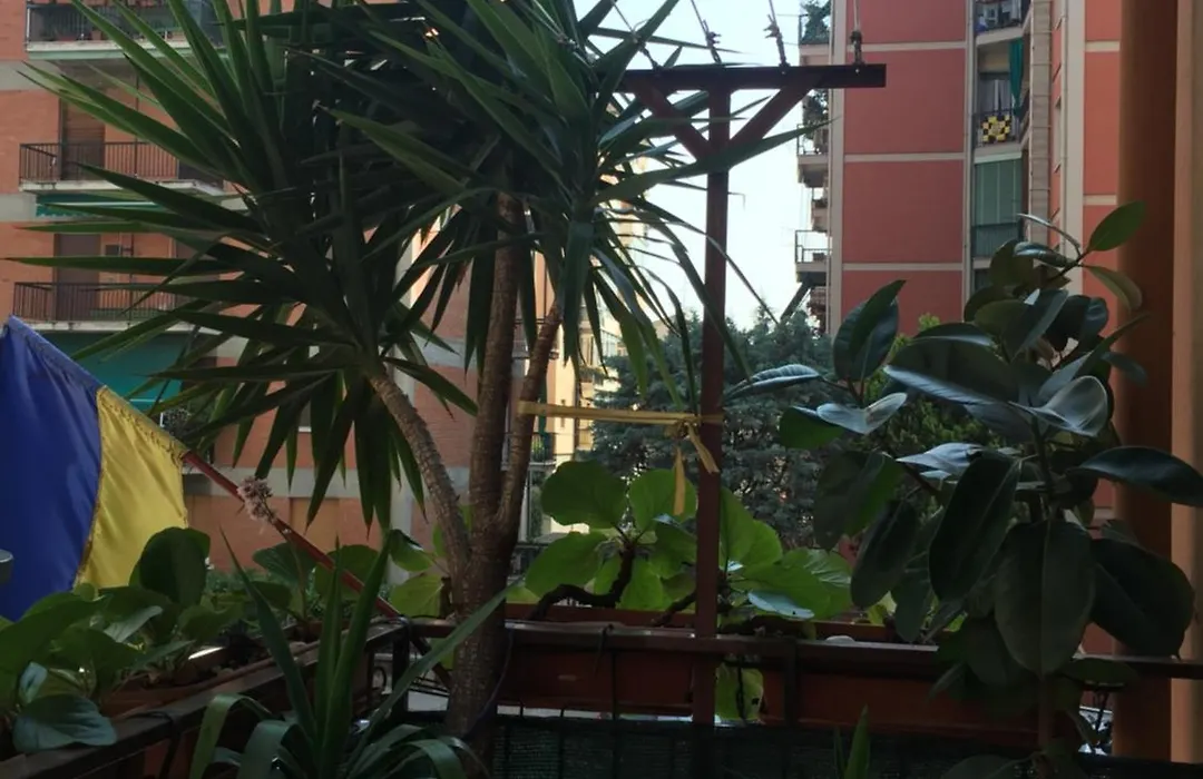 locazione turistica Sole-1